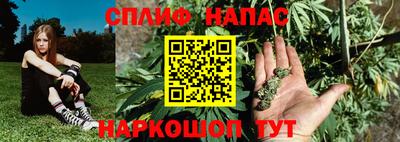 стафф Тара