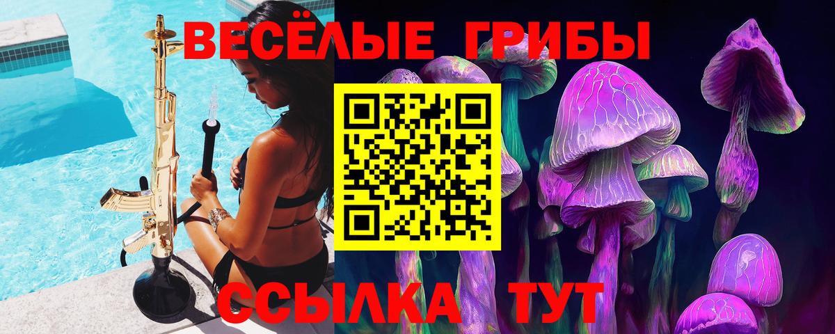Псилоцибиновые грибы мицелий Новотроицк